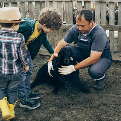 掌握Clash配置更新之道：从入门到精通的完整指南